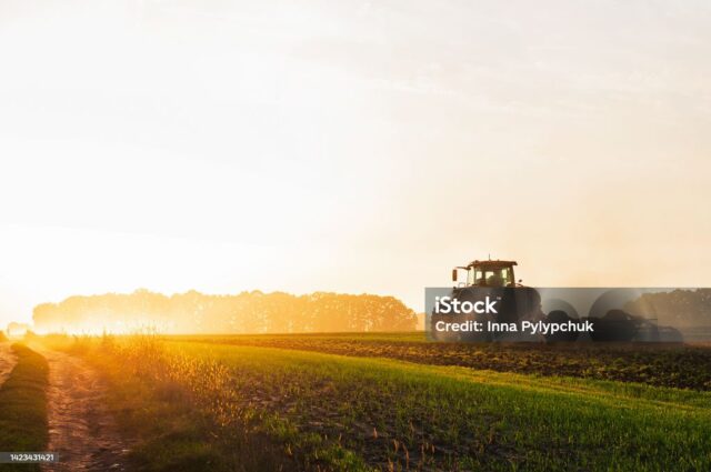 a tractor in a field plows the ground at dawn, sowing grain