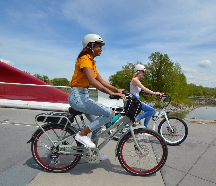 Profitable Electric Bike Sales, Rentals and Service Company for Sale