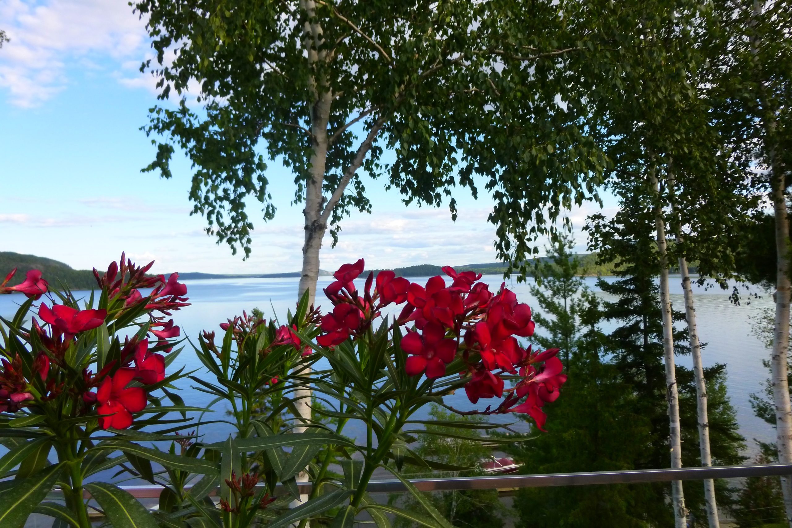 Stunning Boutique RV Park & Cottages with Development Land