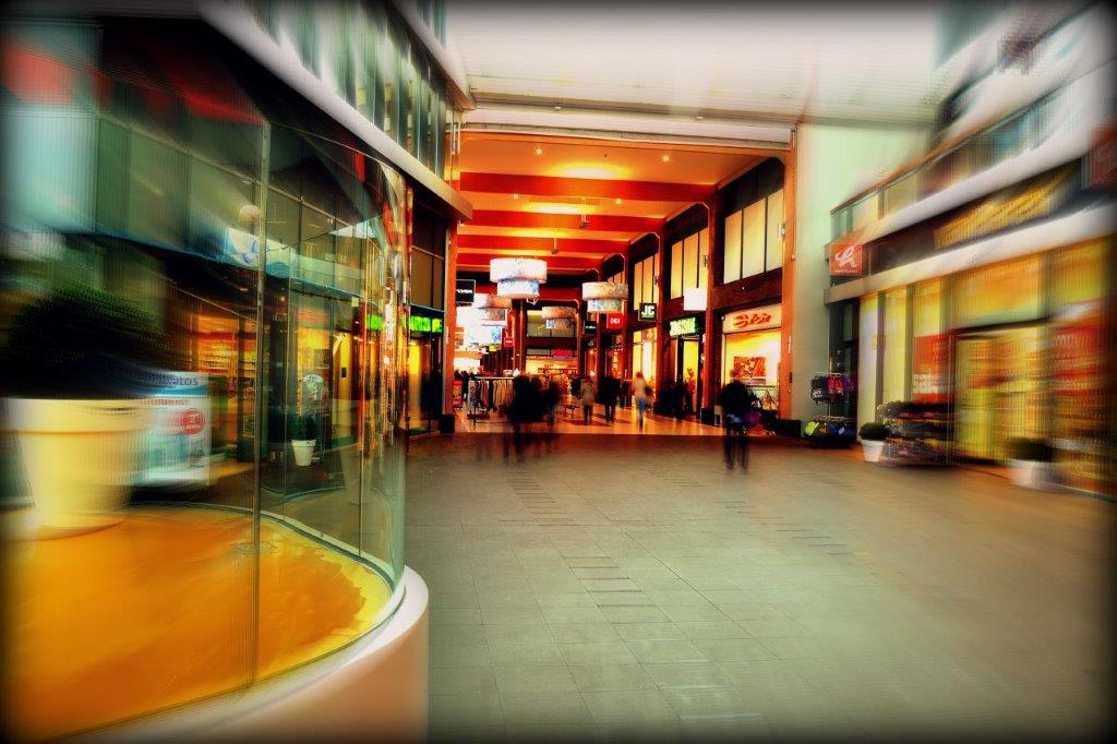 Market Leading Niche Retail and Online Store for Sale in Eastern Ontario