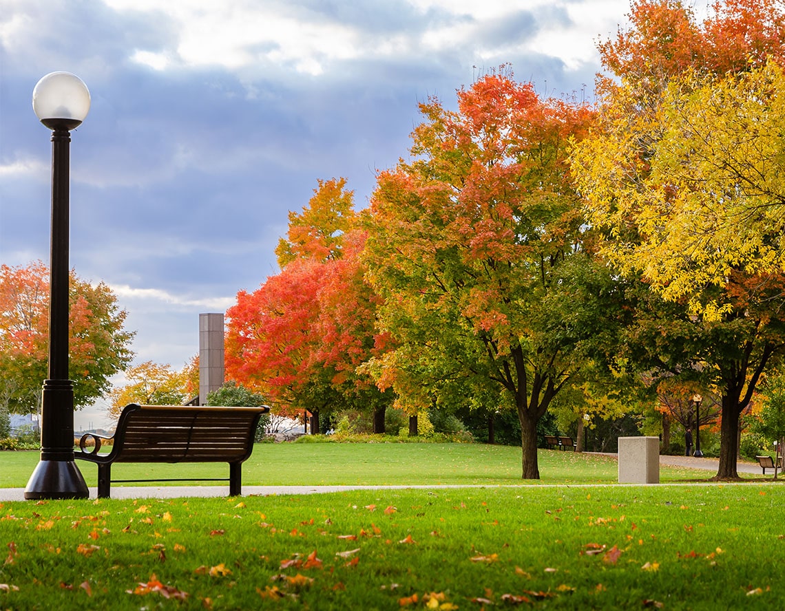 A solitary park bench amid sprawling green fields, offering tranquility and respite.