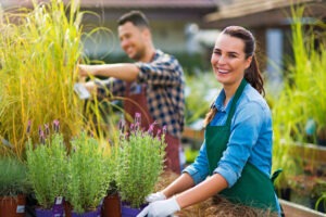 What Decreases the Value of a Landscaping Business?
