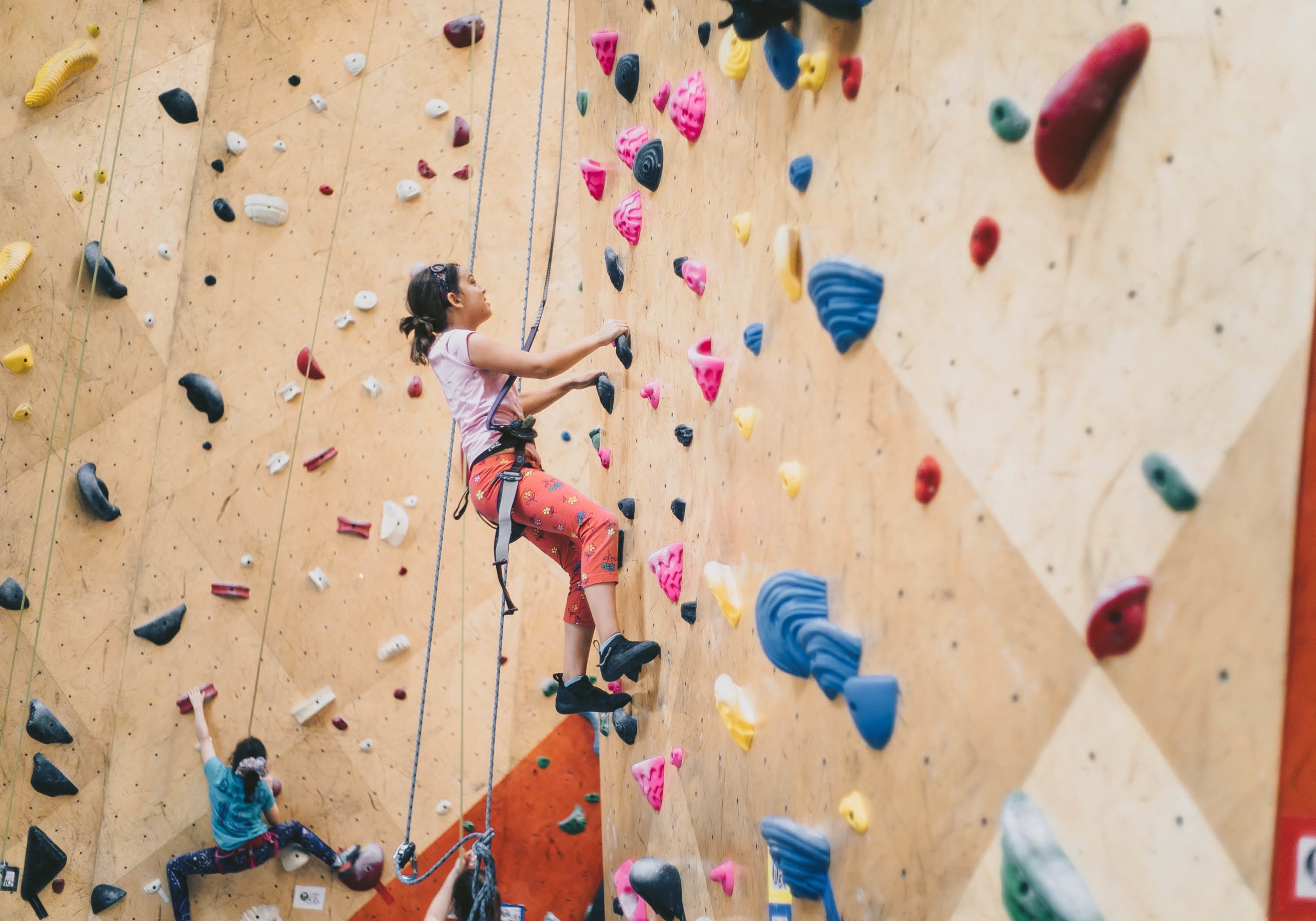 SOLD – Climbing Gym For Sale