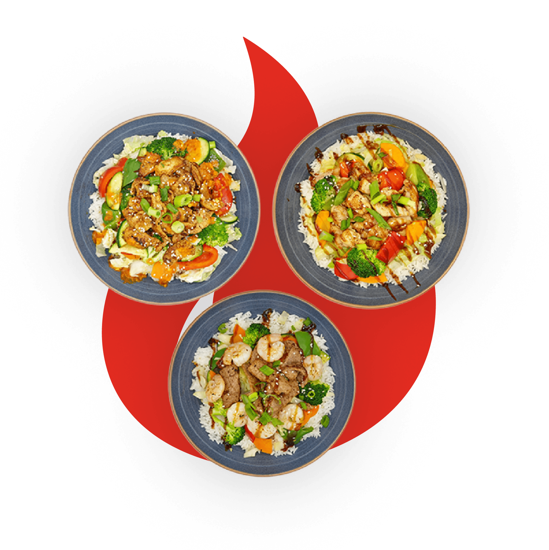 Go Grill Franchise Opportunity Across Canada